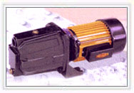 Monopump