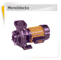 Pumps as Monoblocks